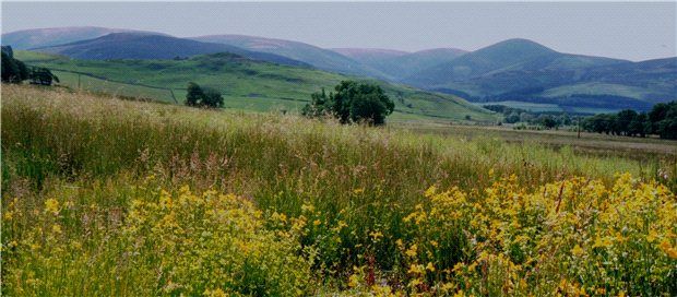 Property photo 3 of 6 Stunning Landscape