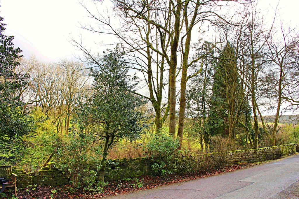 Property photo 3 of 22 View To The Front