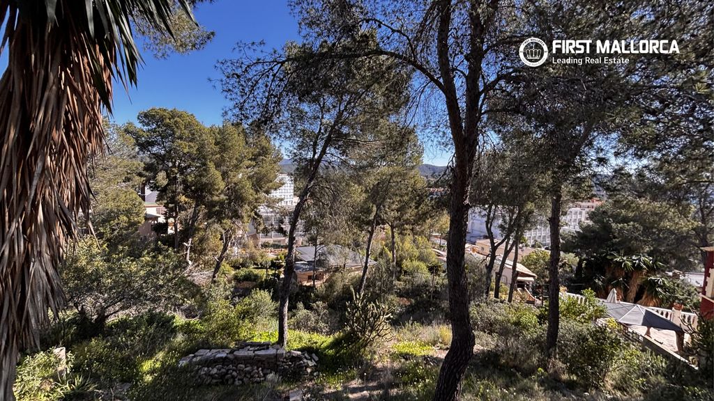 Property photo 1 of 3 83397 1.Jpg