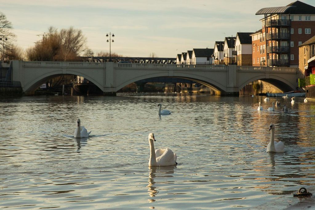 Property photo 2 of 6 View