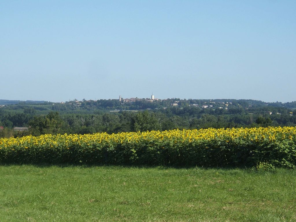 Property photo 3 of 22