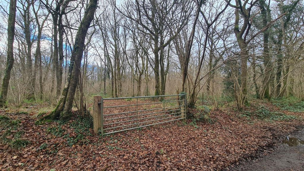 Property photo 3 of 10 Woodland At High Loxley