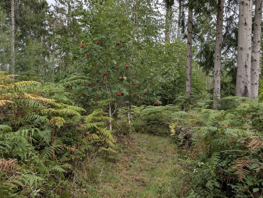 Property photo 3 of 10 Path .Jpg