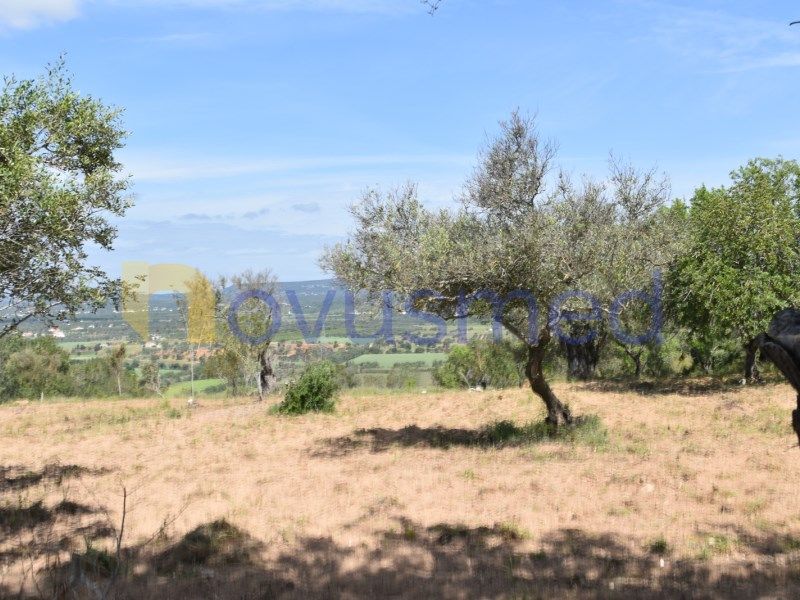 Property photo 1 of 30