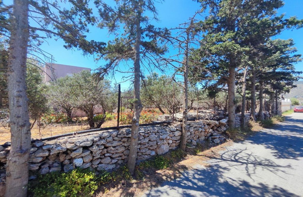Property photo 3 of 49