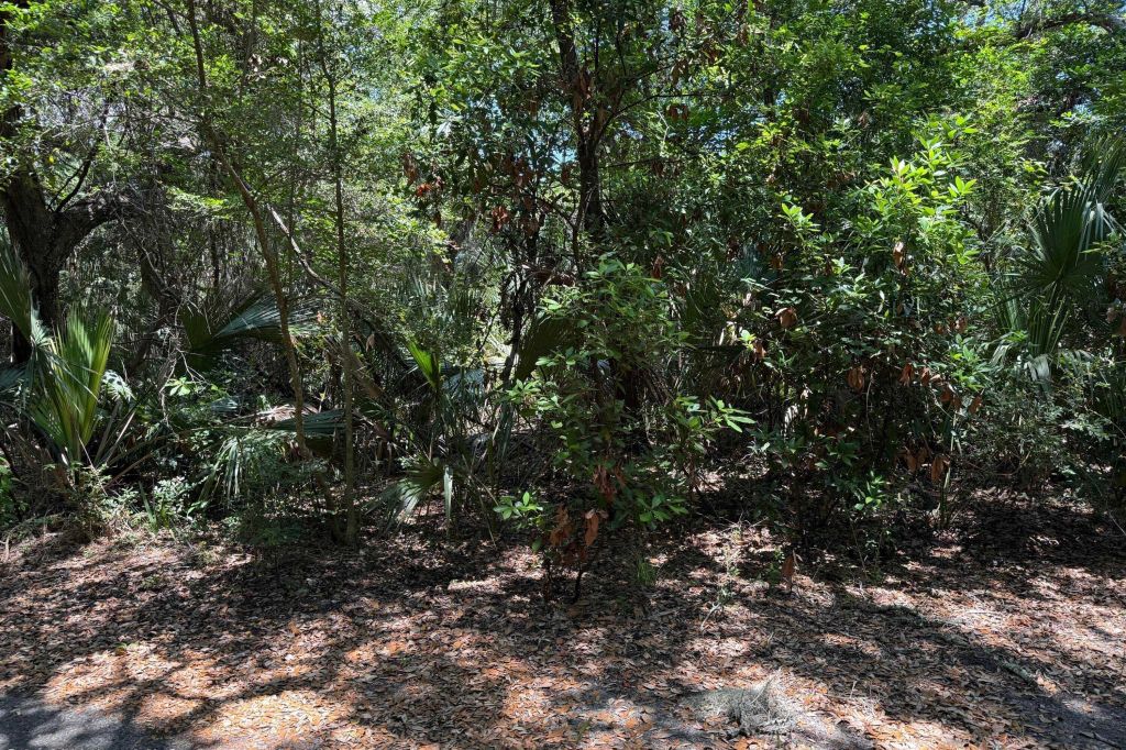 Property photo 2 of 3 <Alttext/>