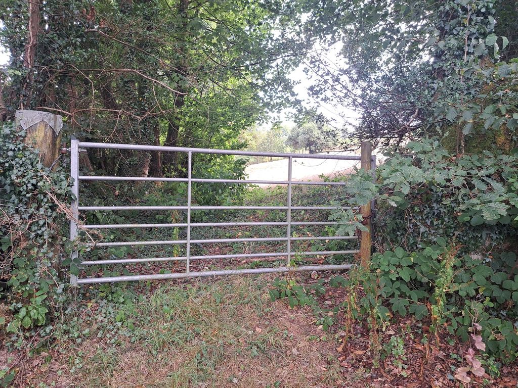 Property photo 2 of 7 Picture No. 01