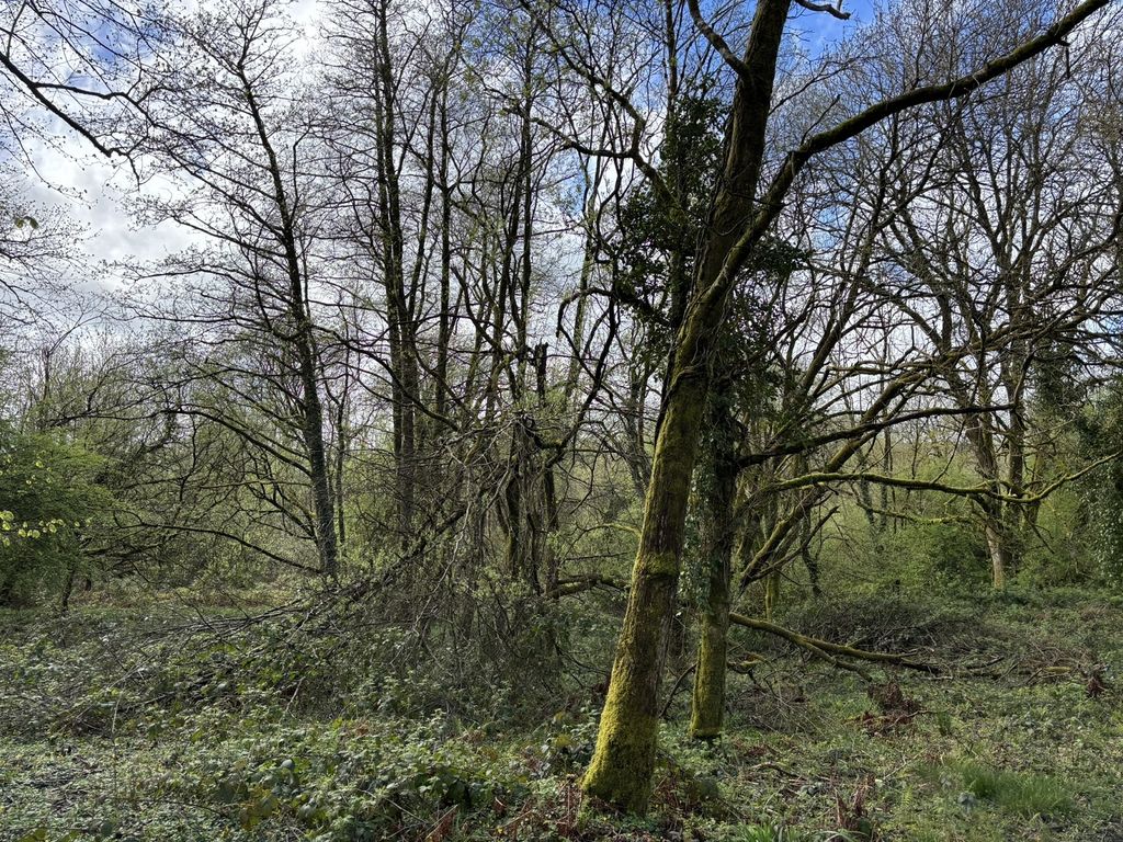 Additional image 17 of 2 bed farm for saleGolden Grove, Carmarthen, Carmarthenshire. SA32