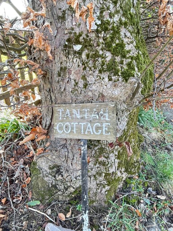 Property photo 3 of 31