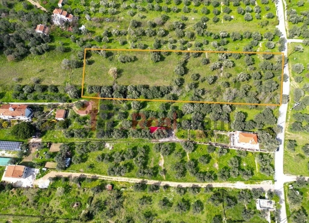 Property photo 3 of 10