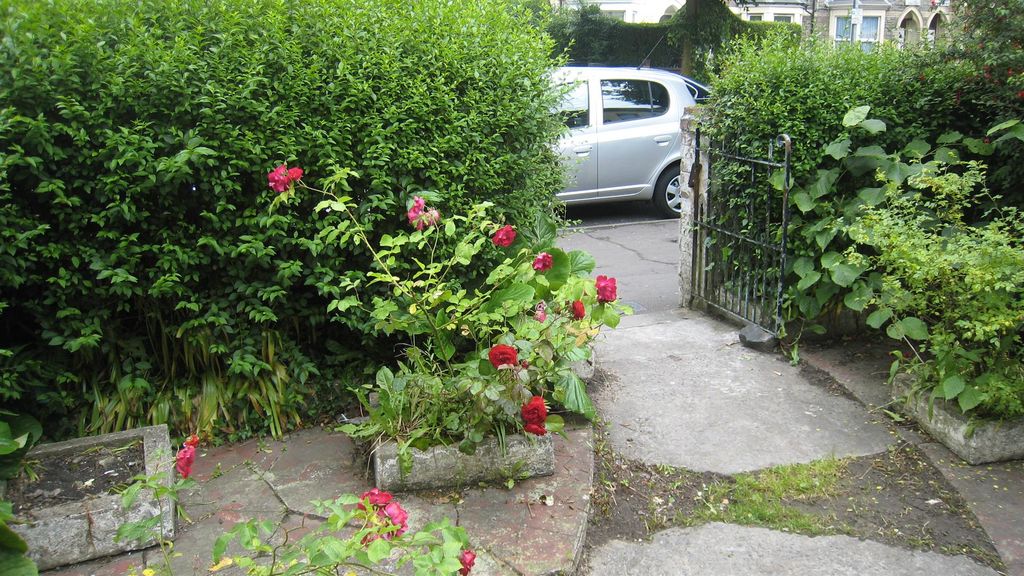 Property photo 3 of 3 Front Yard.Jpg