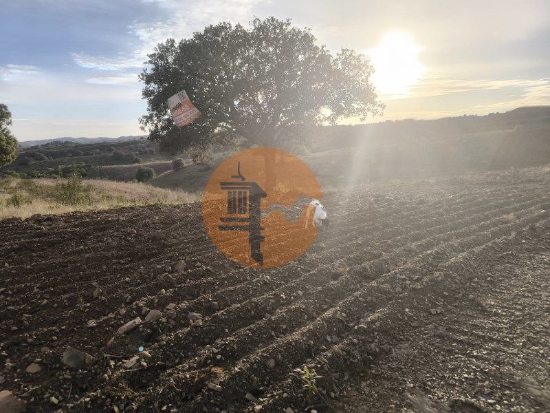 Property photo 3 of 35