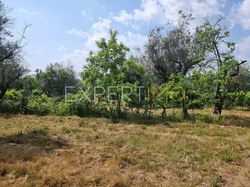 Property photo 3 of 18 Img 2