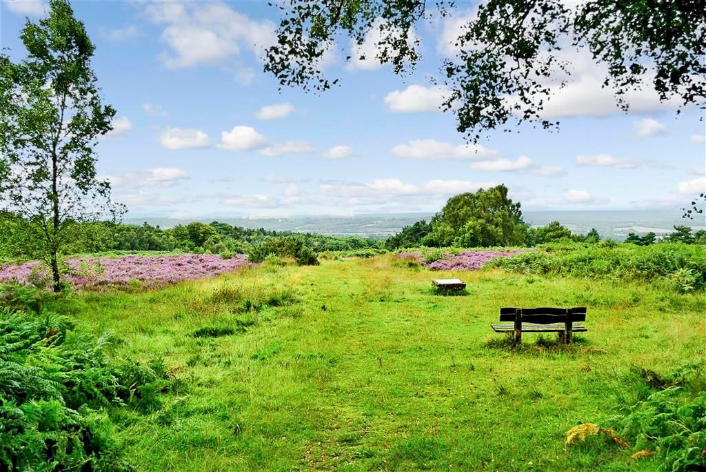 Property photo 3 of 4 Surrounding Area - Ashdown Forest
