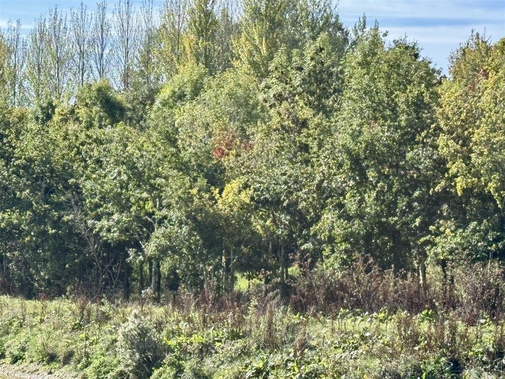 Property photo 2 of 2