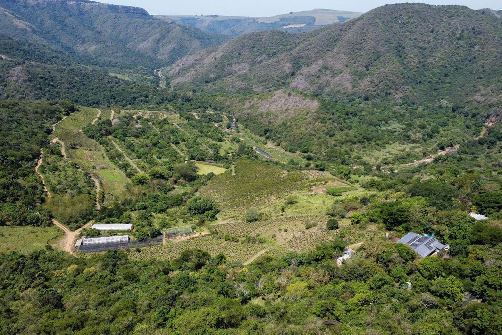 Property photo 1 of 80 1Pm1720203