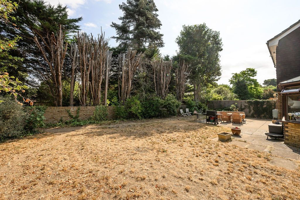 Property photo 3 of 16