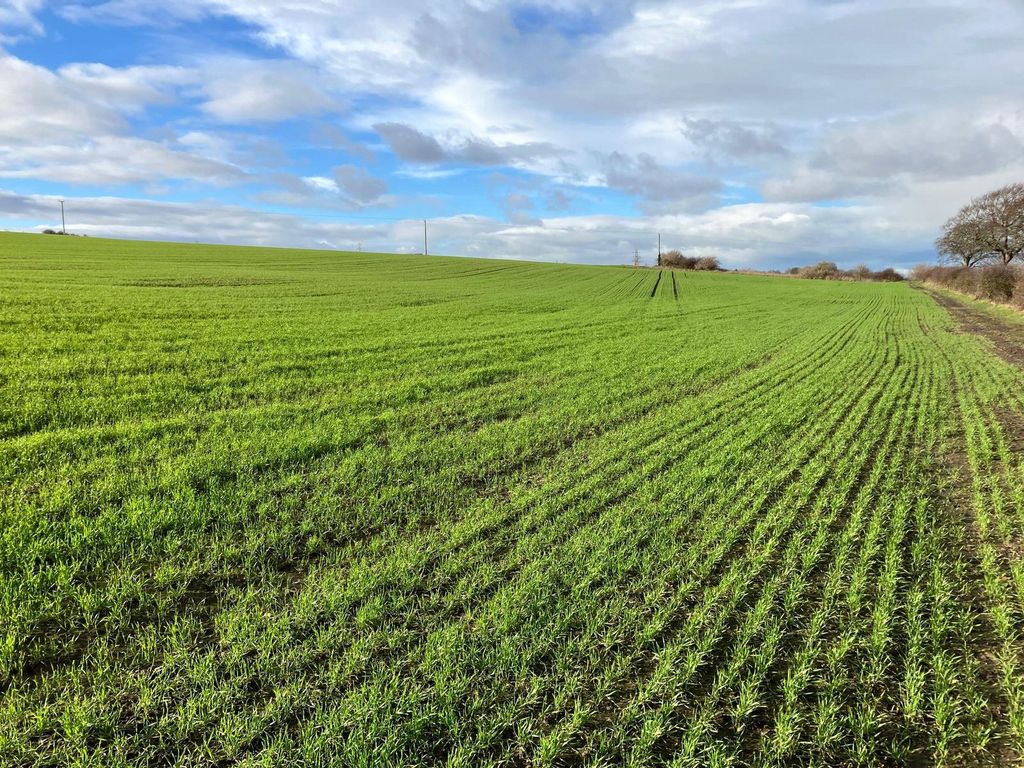 Property photo 1 of 5 Picture No. 07