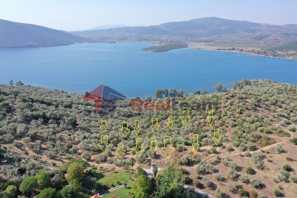 Property photo 2 of 25