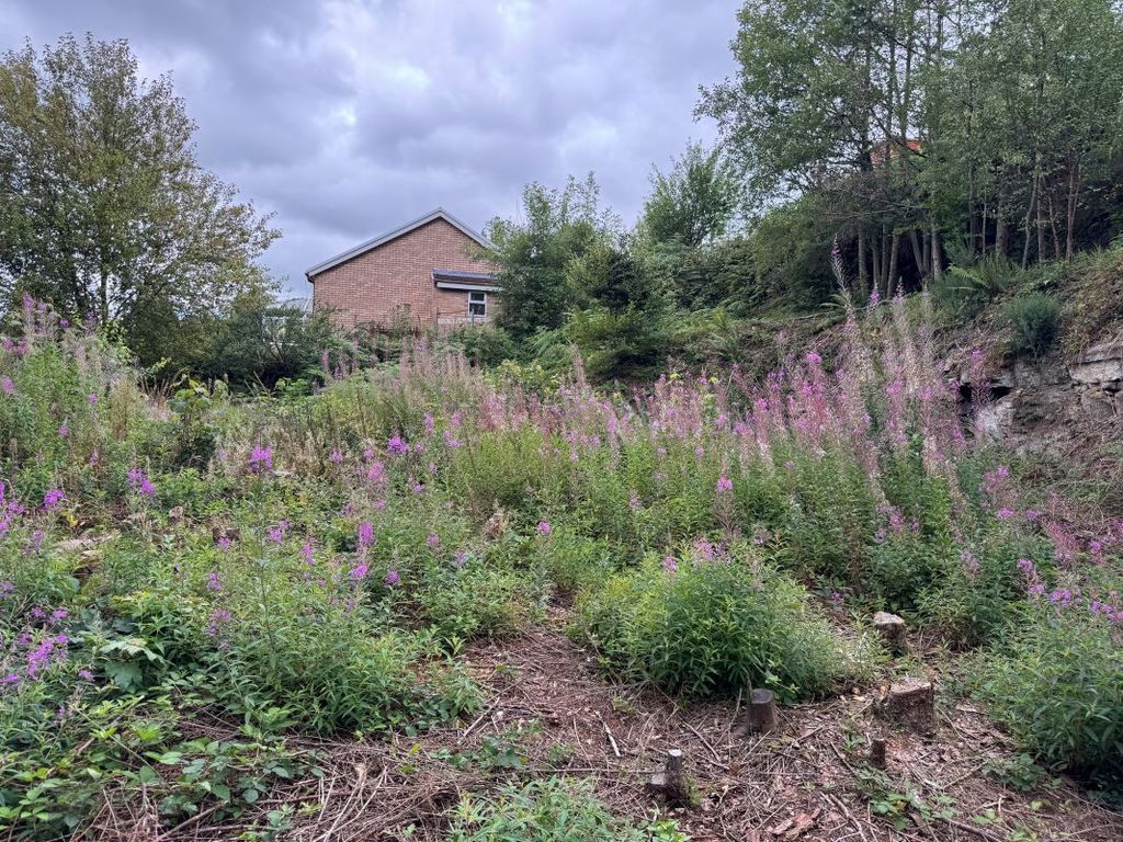 Property photo 1 of 5