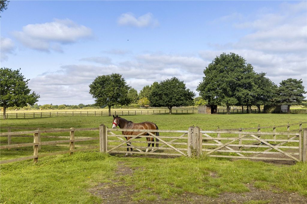 Property photo 3 of 19 Paddocks