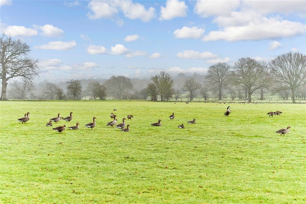 Property photo 2 of 9 Surrounding Area