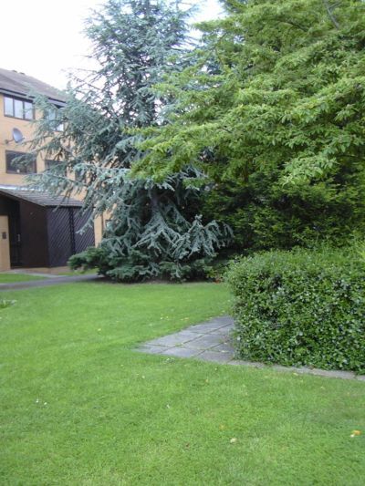 Property photo 1 of 6 Photo 1