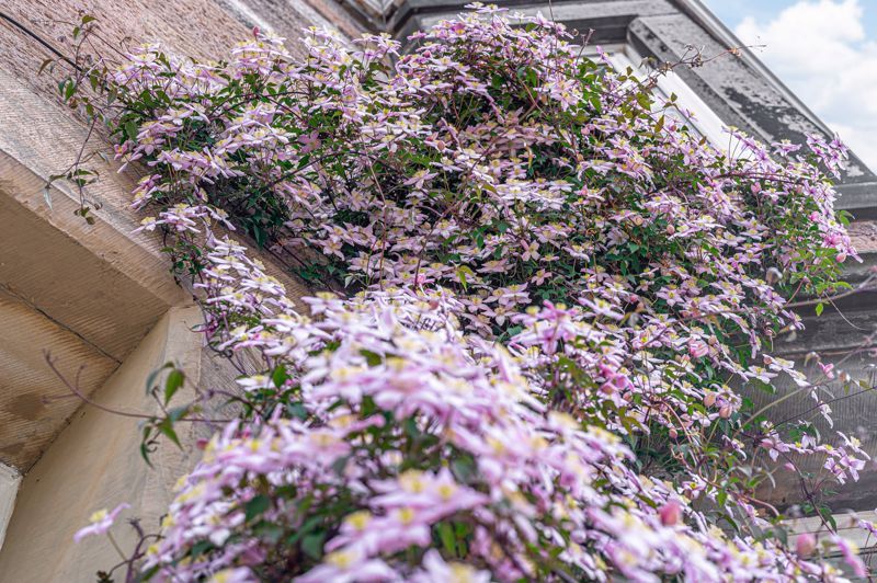 Property photo 2 of 27 Entrance