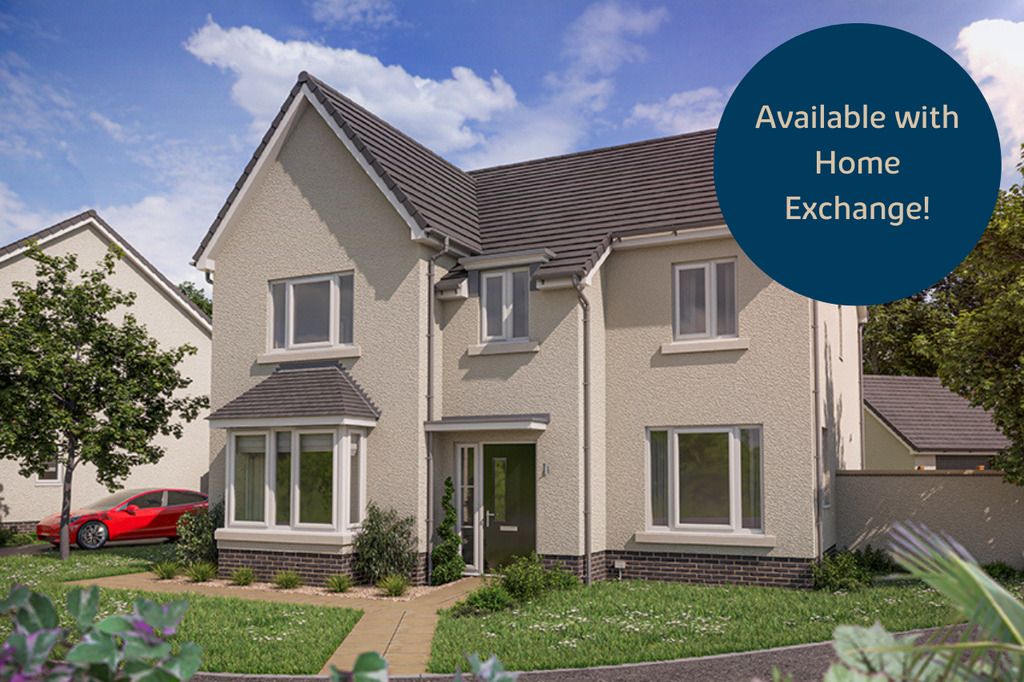 Property photo 1 of 9 Vdsw Bh Dbid Birch Hero Px