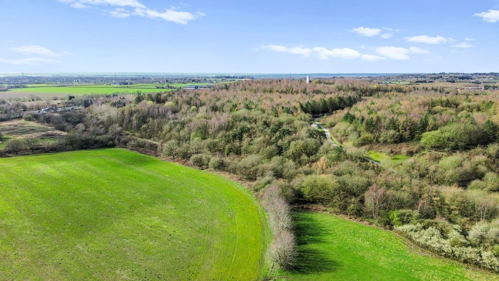 Property photo 3 of 31