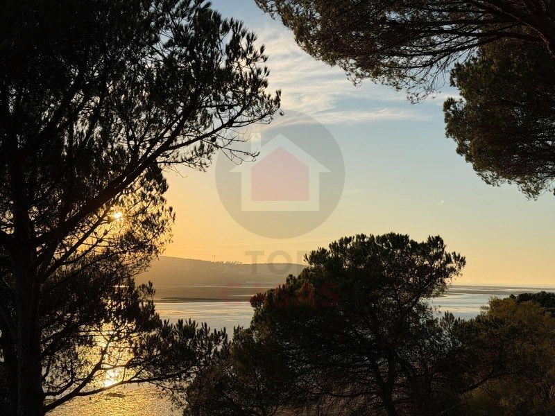 Property photo 2 of 50