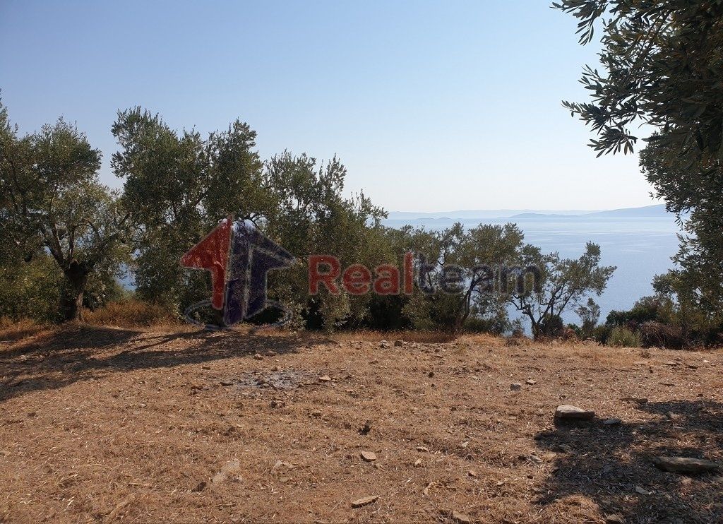 Property photo 2 of 20