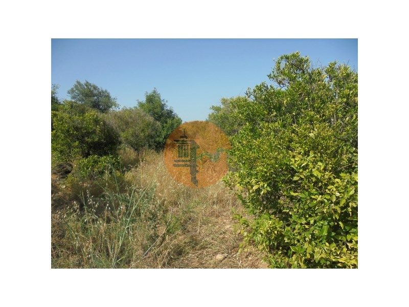 Property photo 2 of 32