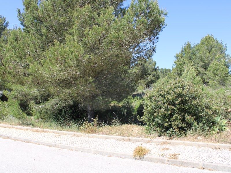 Property photo 1 of 4