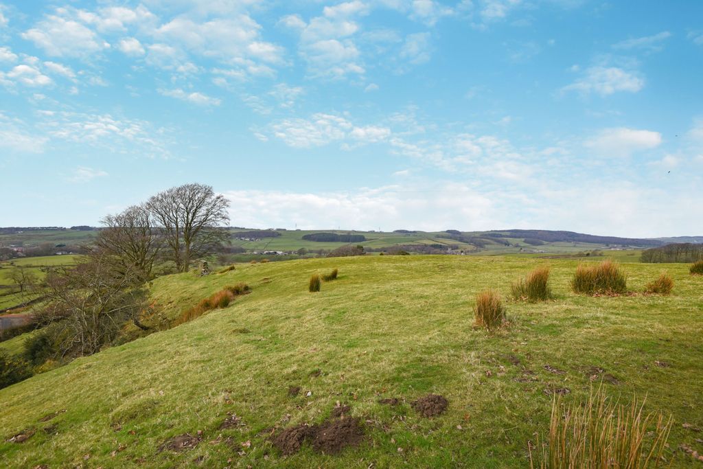 Property photo 3 of 20 17