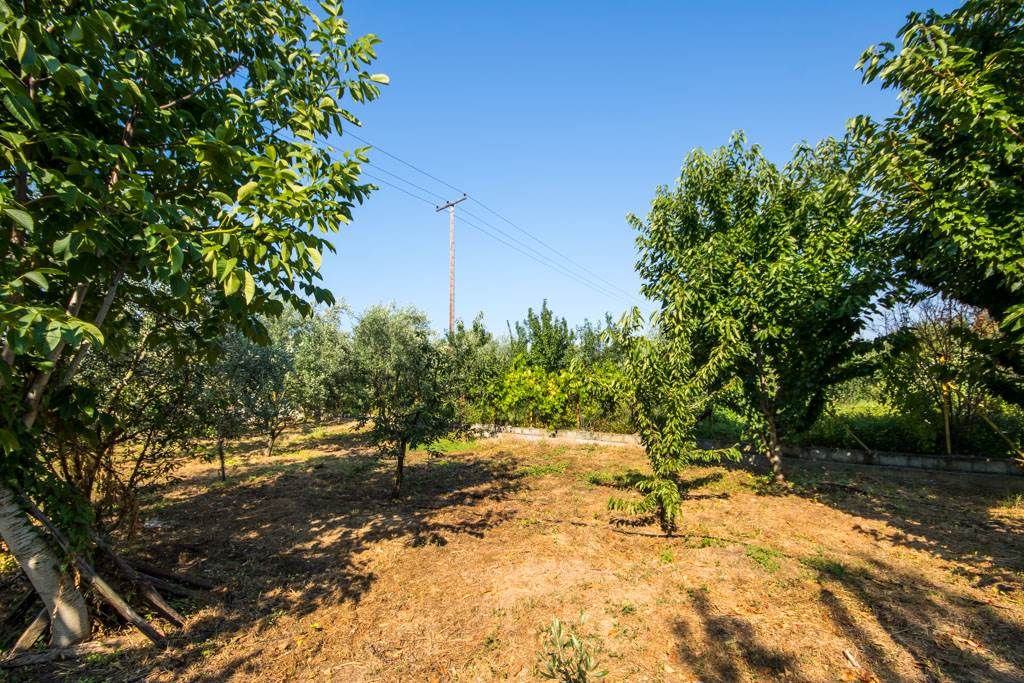 Property photo 1 of 25