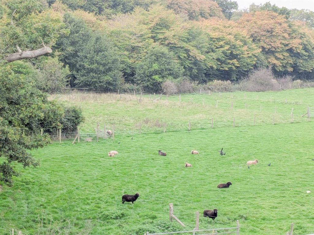 Property photo 2 of 19 1-Img-20251001-Wa0013.Jpg