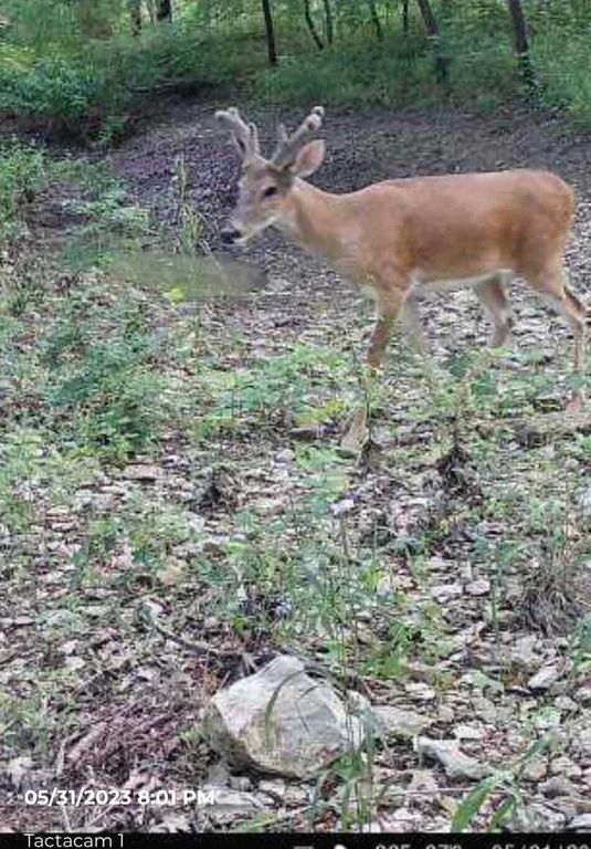 Property photo 3 of 31 <Alttext/>