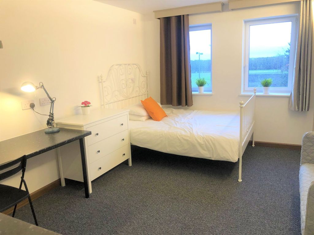 Property photo 1 of 7 Bright And Tidy Single Bedroom Featuring A Cozy Be...