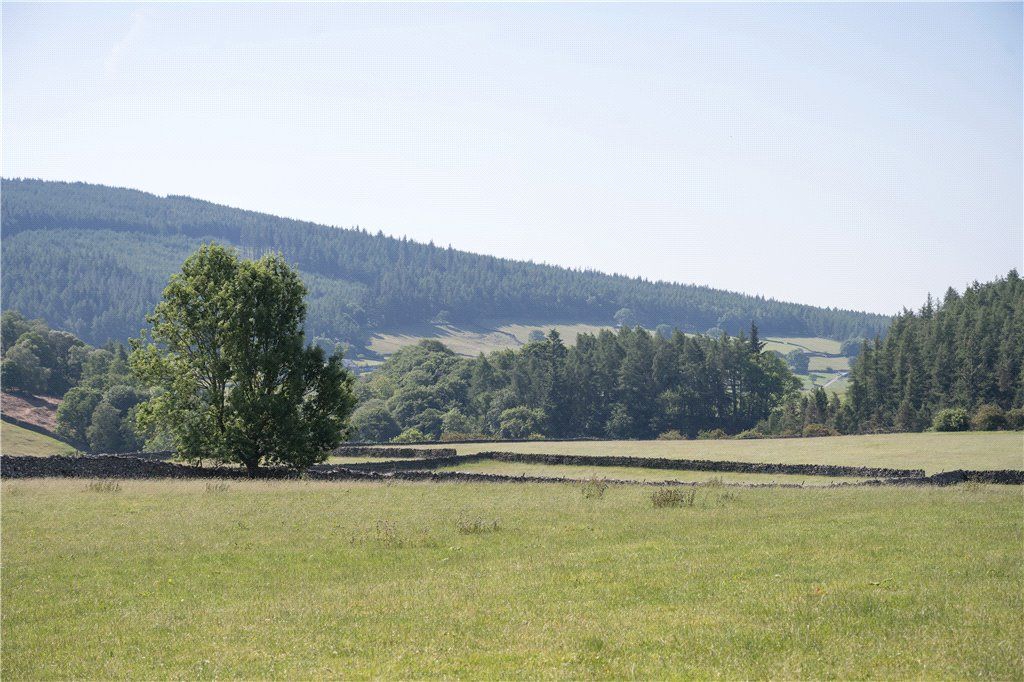 Property photo 3 of 38 Stunning Country