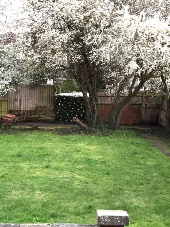 Property photo 2 of 13 Garden