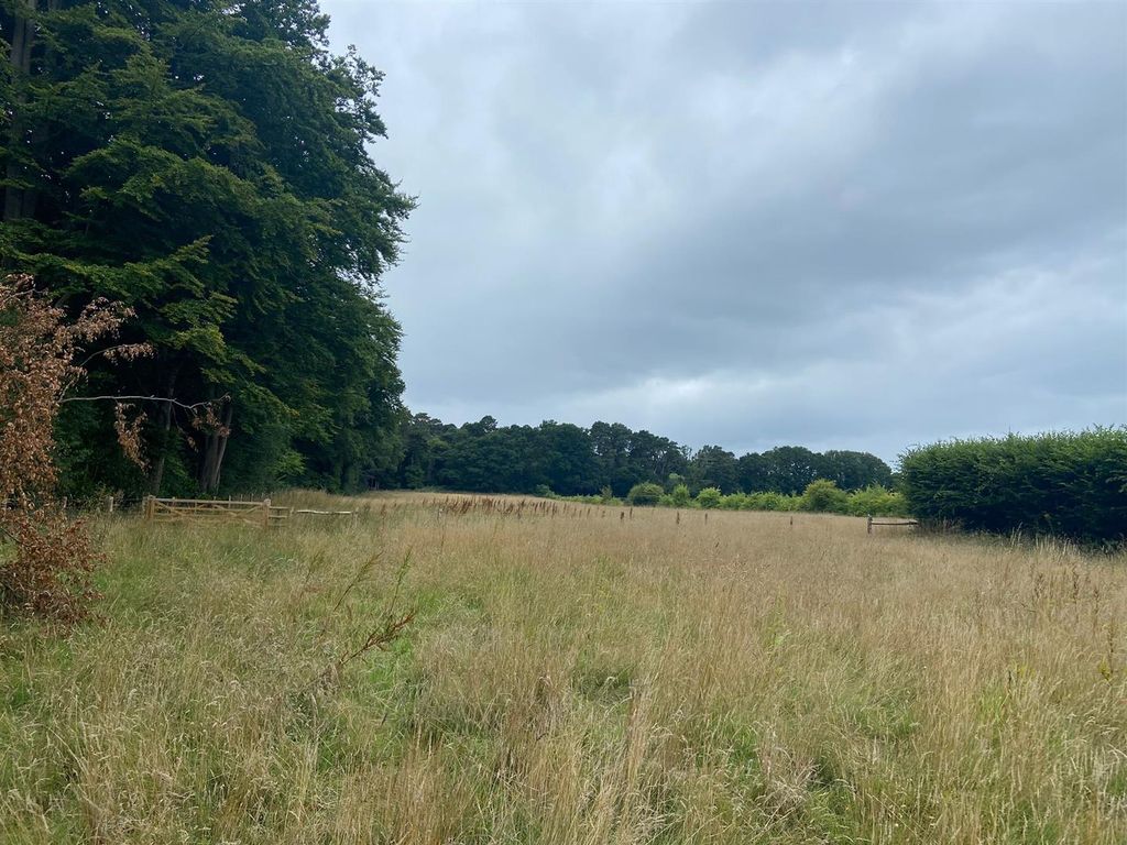 Additional image 4 of Land for saleHambledon Road, Hydestile, Godalming GU8