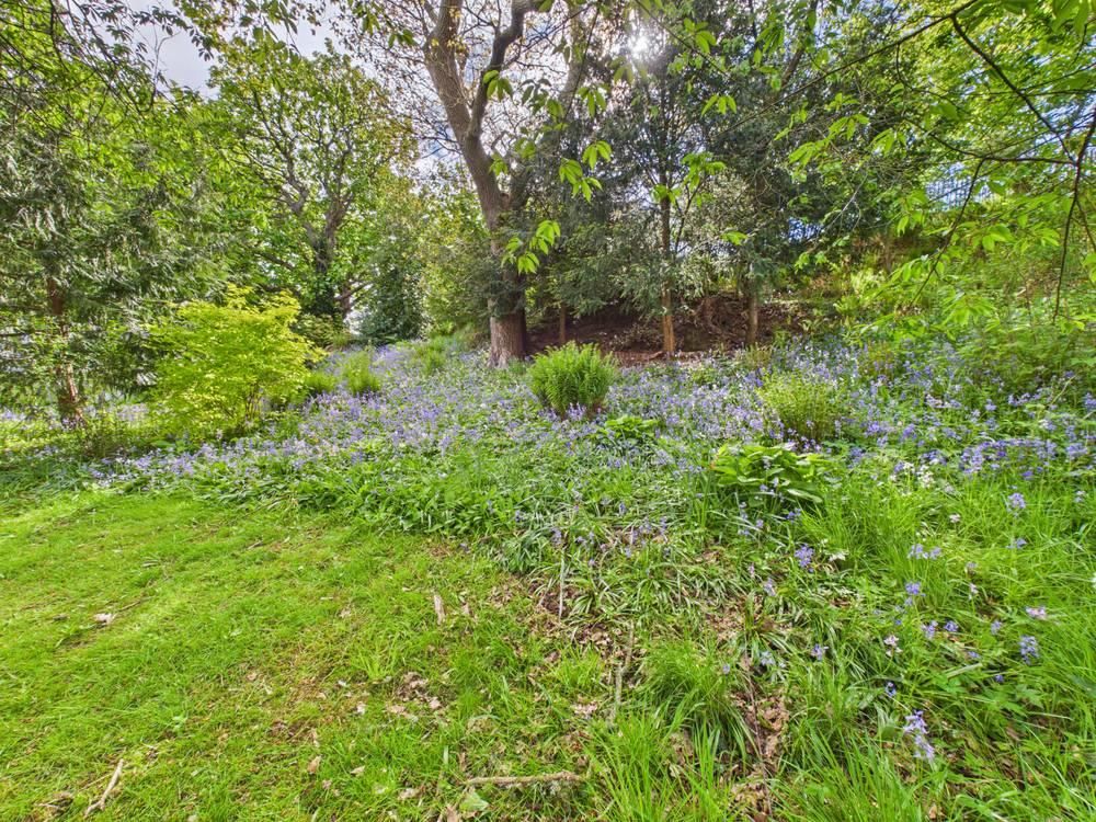 Additional image 17 of 3 bed flat for saleFlat 1, Craigiebank House, Moredun Square, Perth PH2