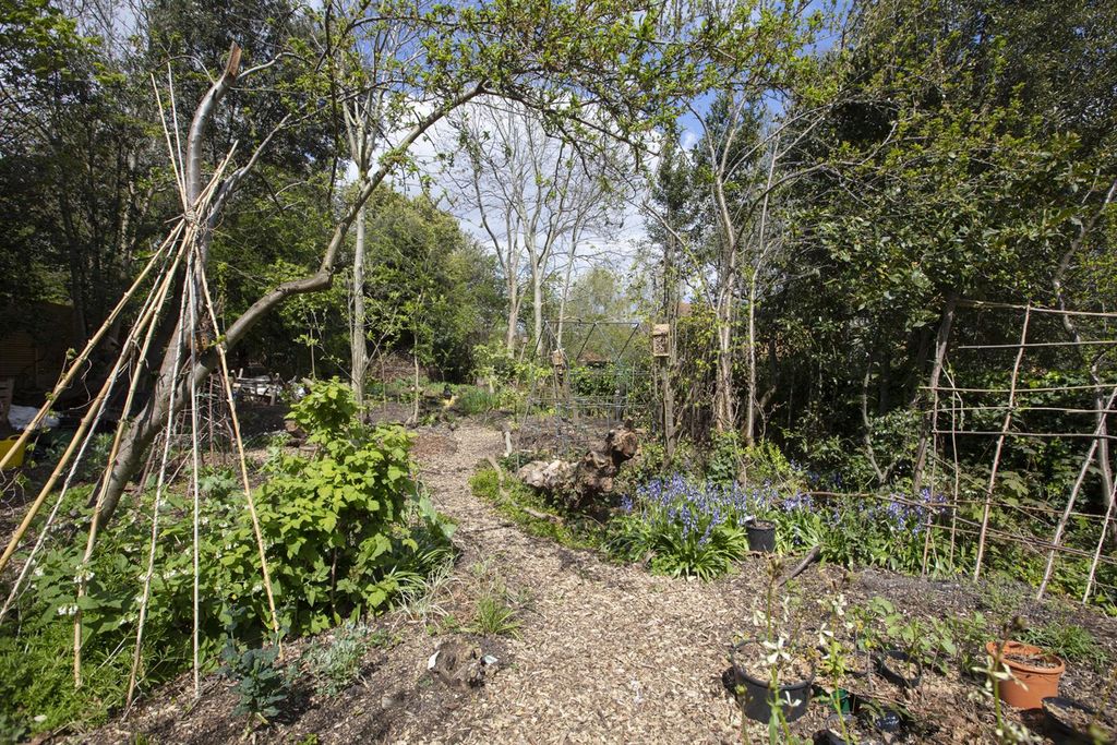 Property photo 3 of 35 3Y6A9699.Jpg