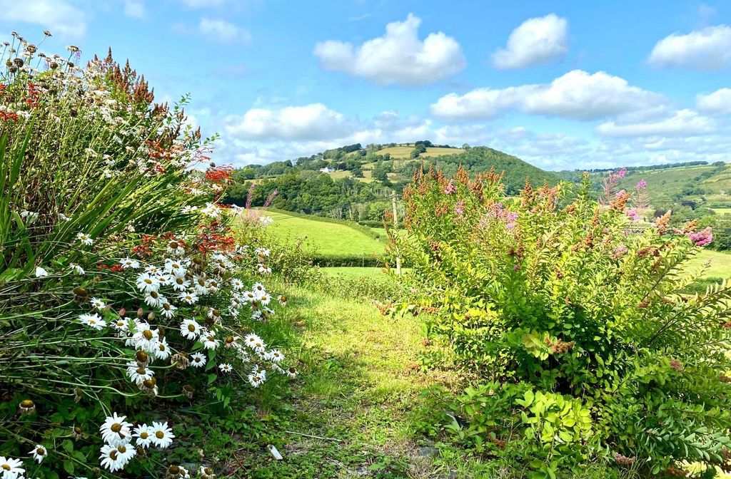 Additional image 19 of 4 bed detached house for saleGorrig Road, Llandysul SA44