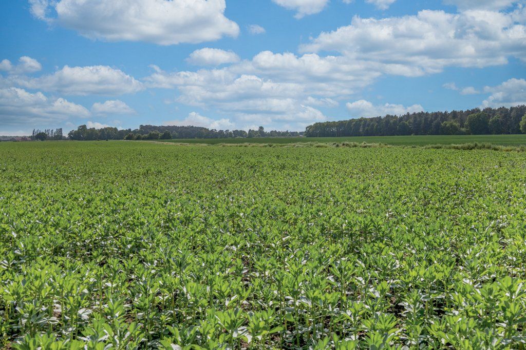 Additional image 30 of Land for saleGate Helmsley, York, North Yorkshire YO41