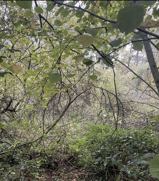 Property photo 2 of 2