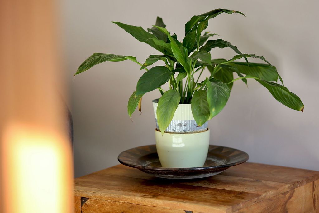 Additional image 9 of 3 bed detached house for saleMoray House, Tintern, Chepstow NP16