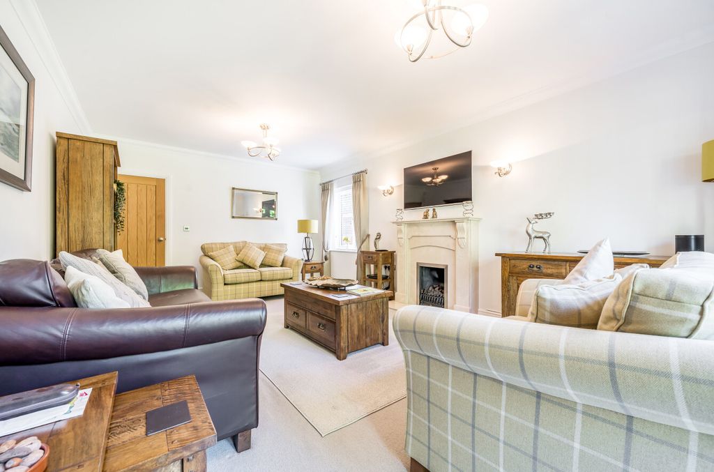 Additional image 11 of Something went wrong