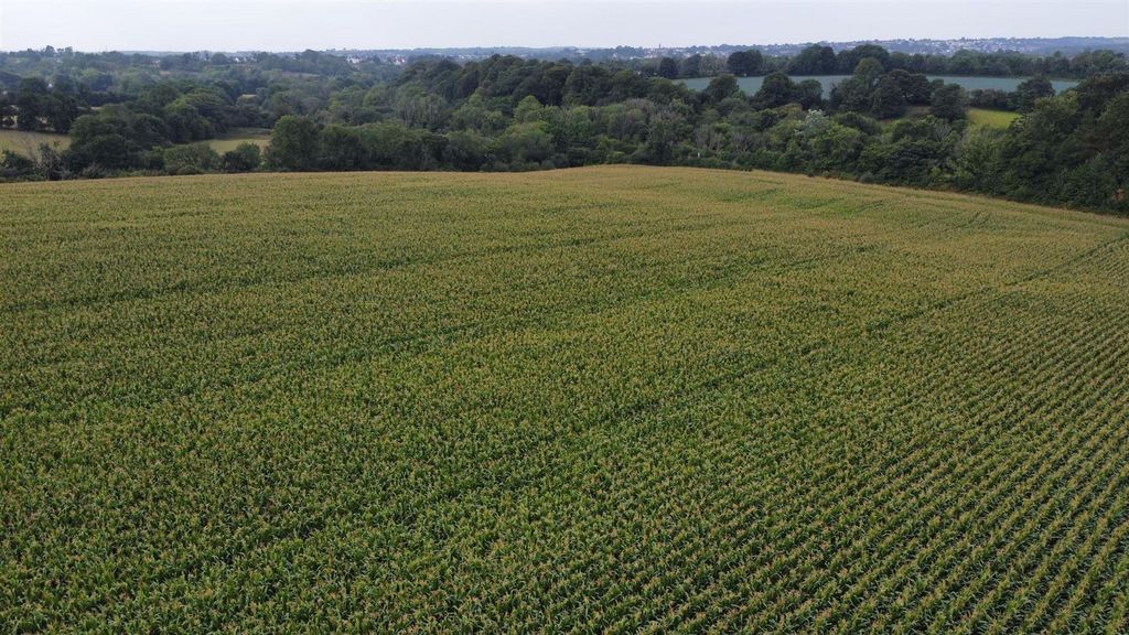 Property photo 2 of 16 Dji_Fly_20250811_102646_281_1754904623254_Photo_Optimized.Jpg